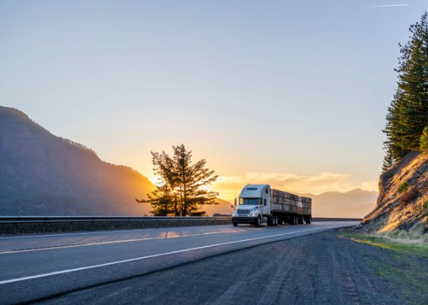 Why a truck’s weight is so important in an accident